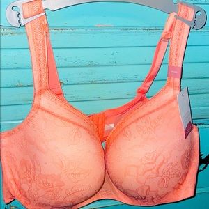 Cacique Balconette Bra {NWT}
